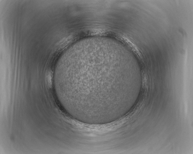 X0000115530026200911201728