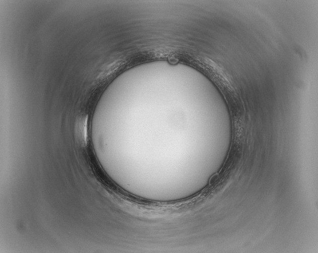 X0000115530028200911201728