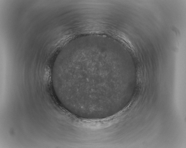 X0000115530029200911201728