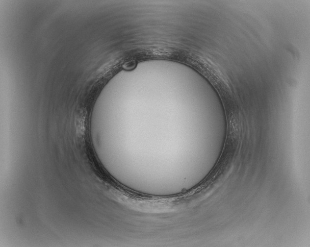 X0000115530032200911201728