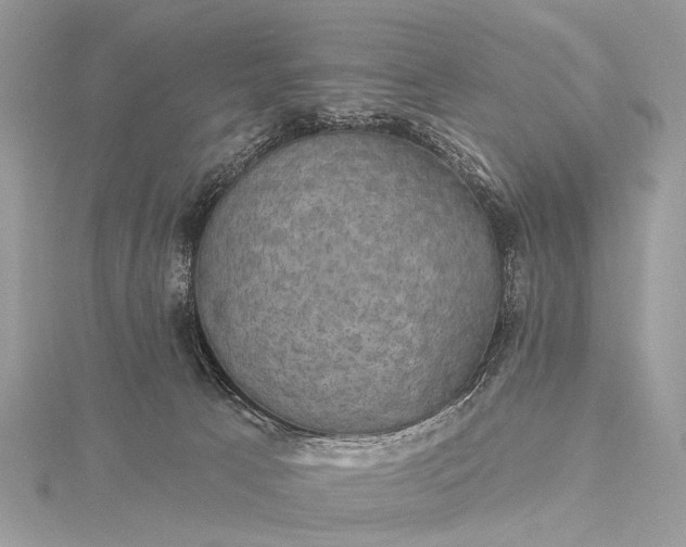 X0000115530033200911201728