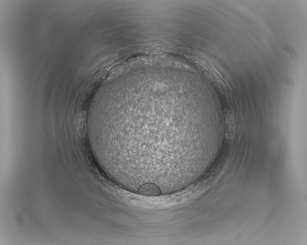 X0000115530034200911201728