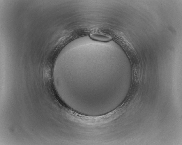 X0000115530035200911201728