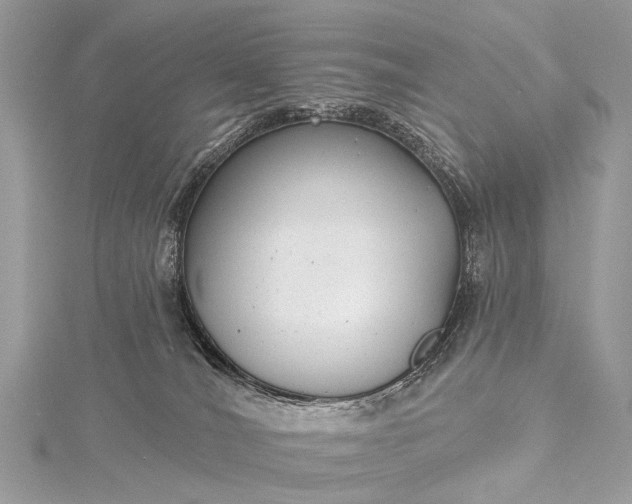 X0000115530036200911201728