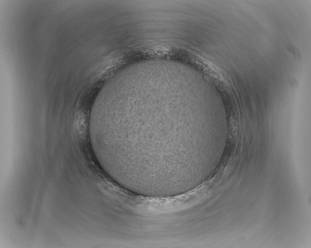 X0000115530037200911201728