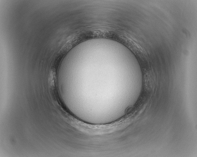 X0000115530038200911201728