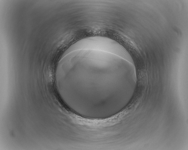 X0000115530039200911201728