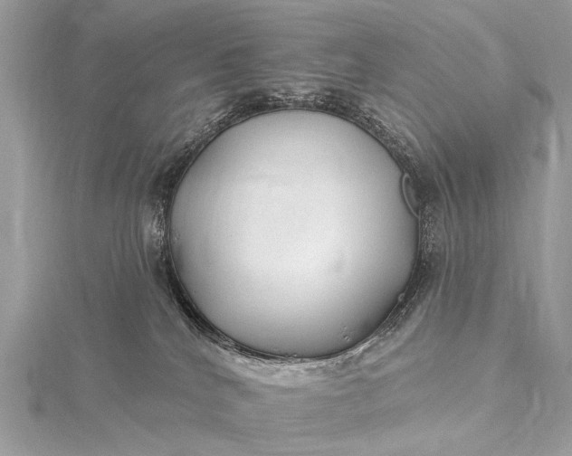 X0000115530040200911201728