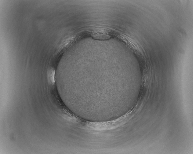 X0000115530041200911201728