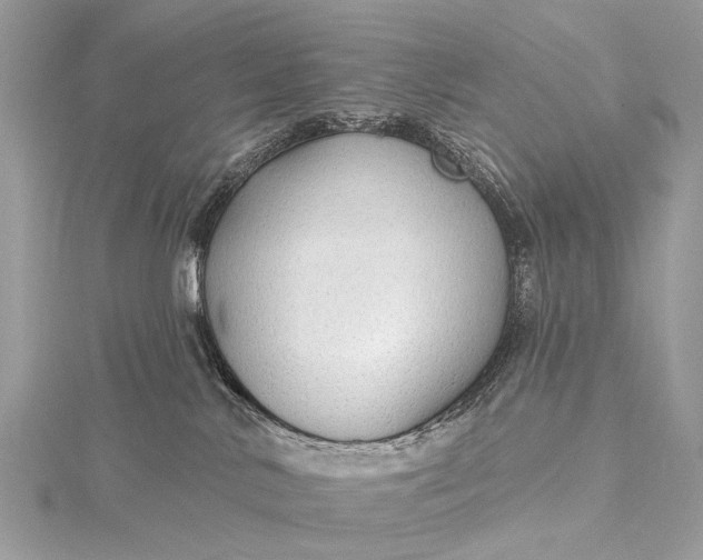 X0000115530042200911201728