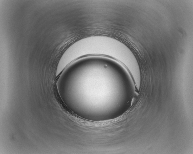 X0000115530043200911201728