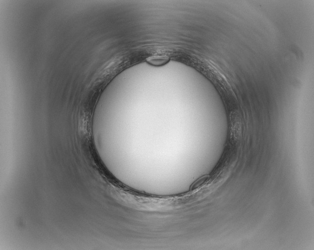 X0000115530044200911201728