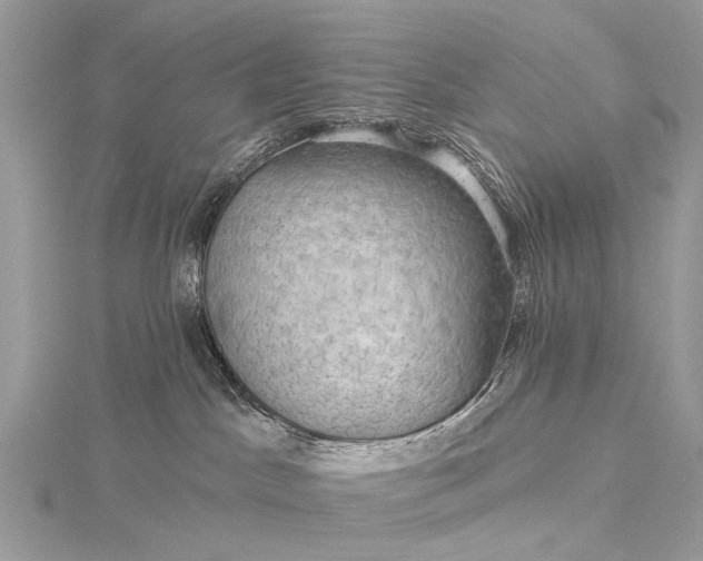 X0000115530045200911201728