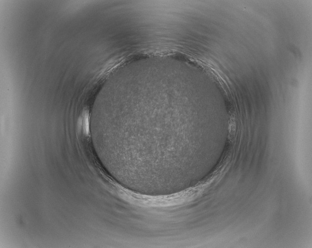 X0000115530046200911201728