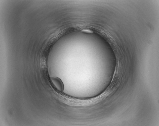 X0000115530048200911201728