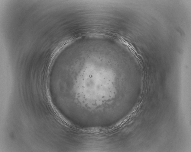 X0000115530049200911201727