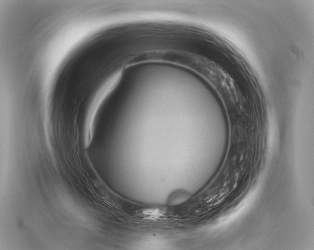 X0000115530050200911201727