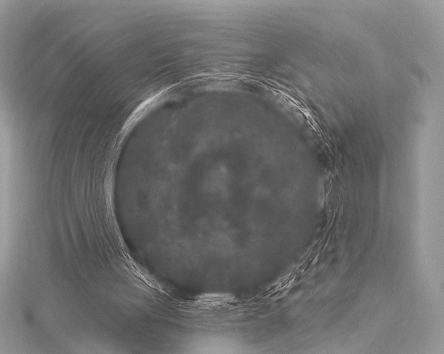 X0000115530051200911201728