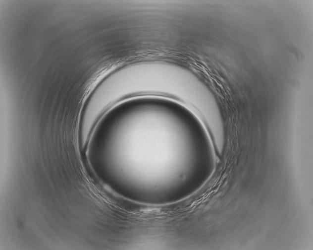 X0000115530052200911201728