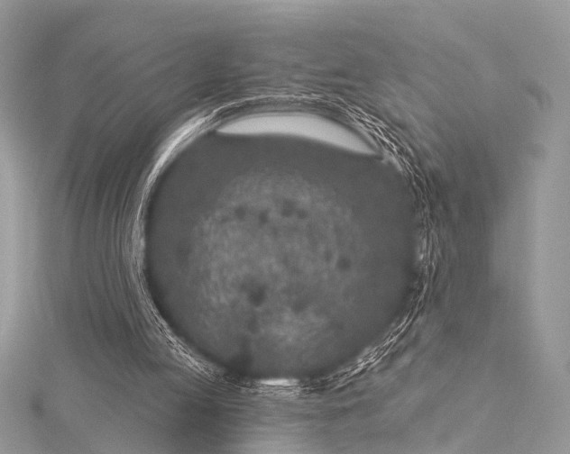 X0000115530053200911201728