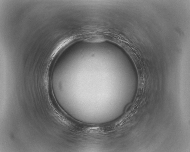 X0000115530054200911201728