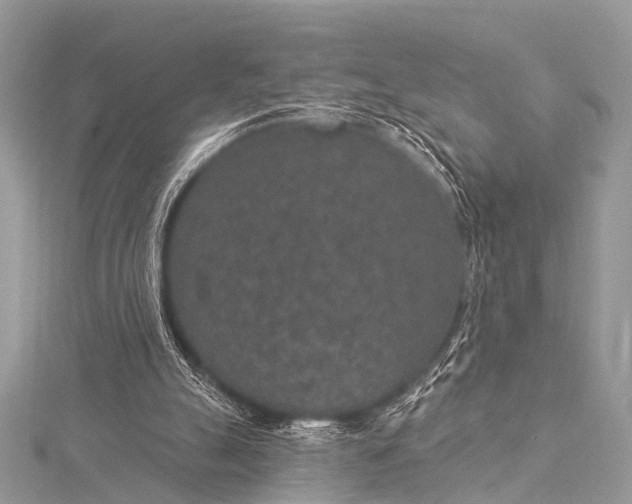 X0000115530055200911201728