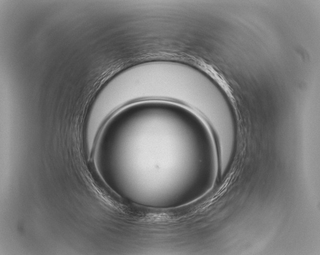 X0000115530057200911201728