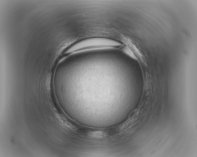 X0000115530058200911201728