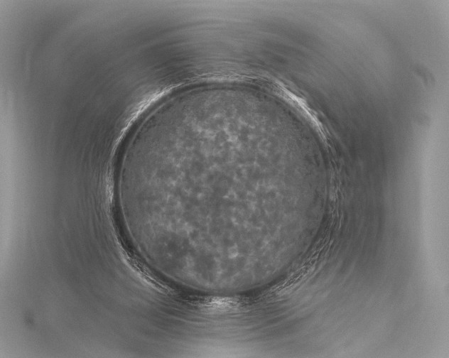 X0000115530060200911201728