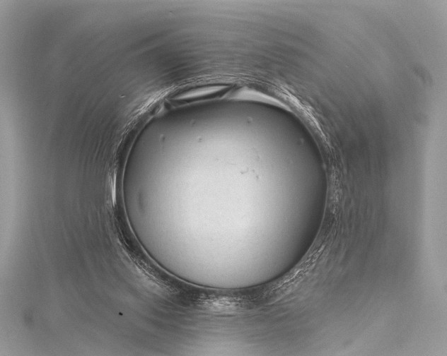 X0000115530062200911201728