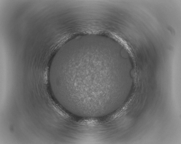 X0000115530065200911201728