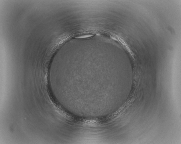 X0000115530066200911201728