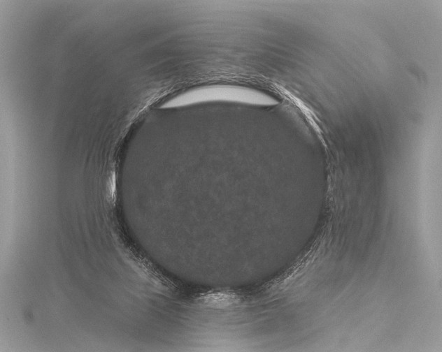 X0000115530067200911201728