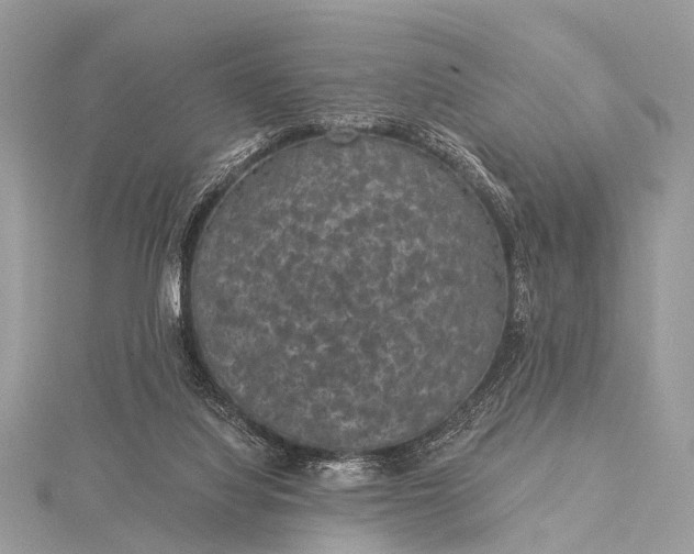 X0000115530068200911201728