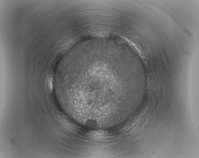 X0000115530069200911201728