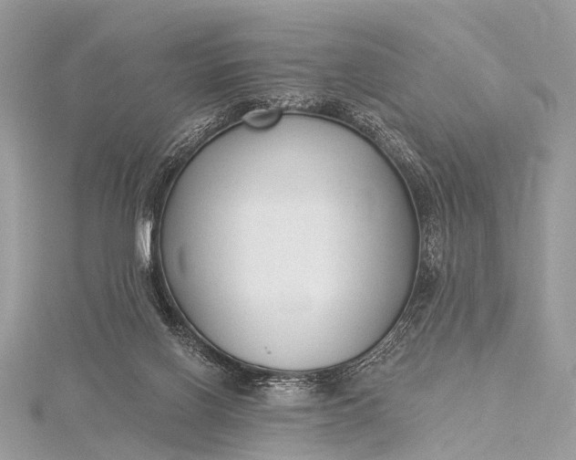 X0000115530070200911201728