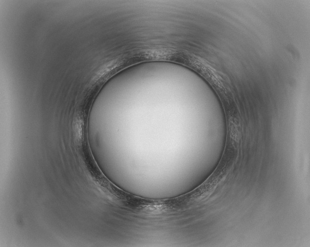 X0000115530071200911201728