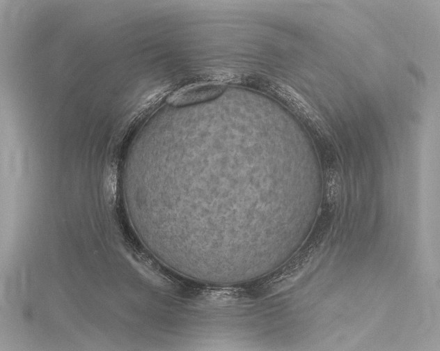 X0000115530072200911201728