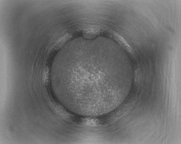 X0000115530073200911201728