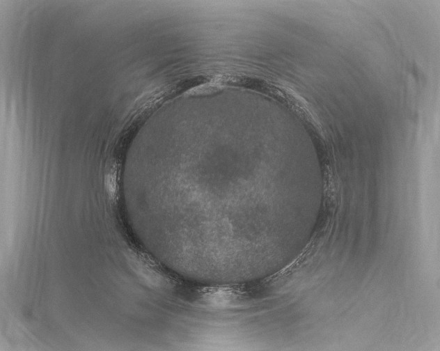 X0000115530074200911201728