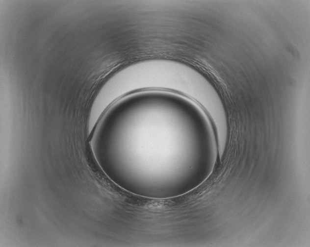 X0000115530076200911201728