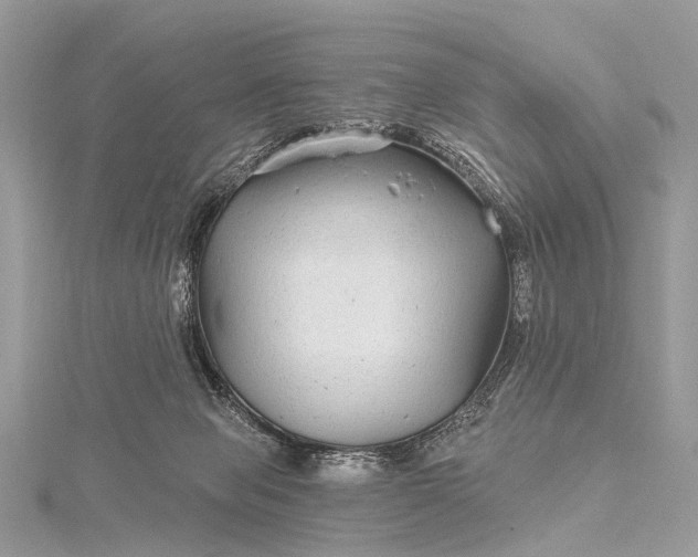 X0000115530077200911201728