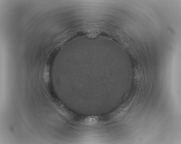 X0000115530080200911201728