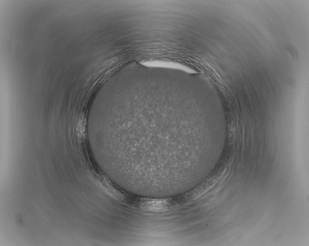 X0000115530081200911201728