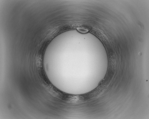 X0000115530083200911201728