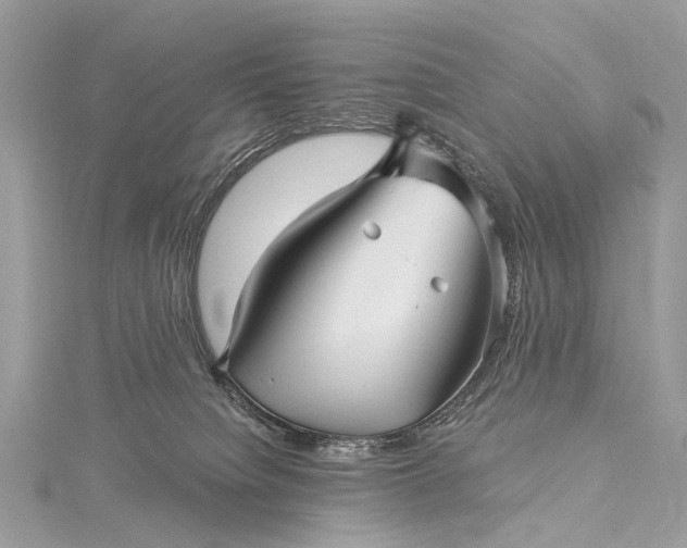 X0000115530084200911201728