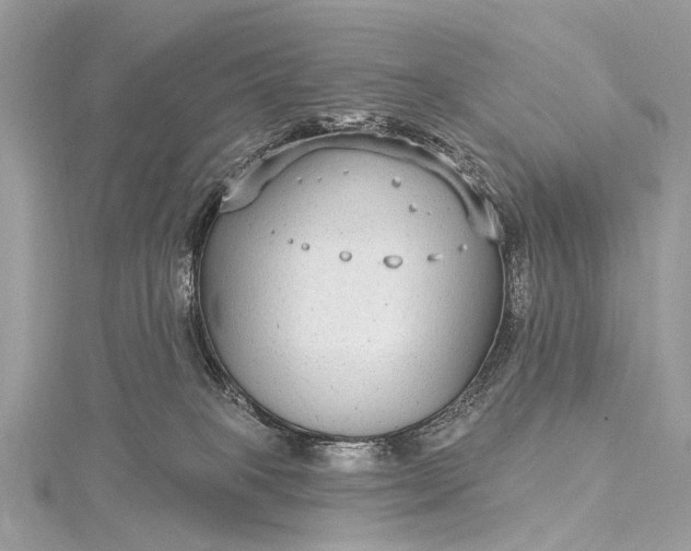 X0000115530085200911201728