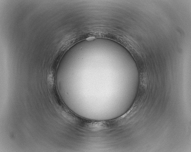 X0000115530086200911201728