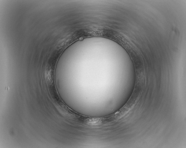 X0000115530088200911201728