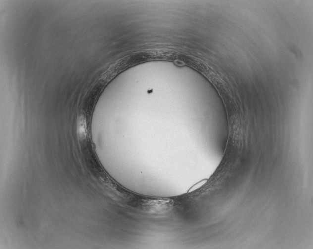 X0000115530089200911201728